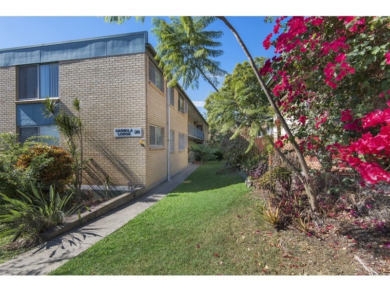 6/36 St Osyth Street, Toowong QLD 4066