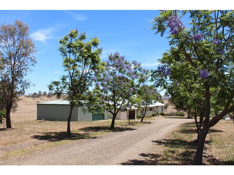 438 Wickham Lane, Young NSW 2594