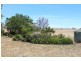 438 Wickham Lane, Young NSW 2594