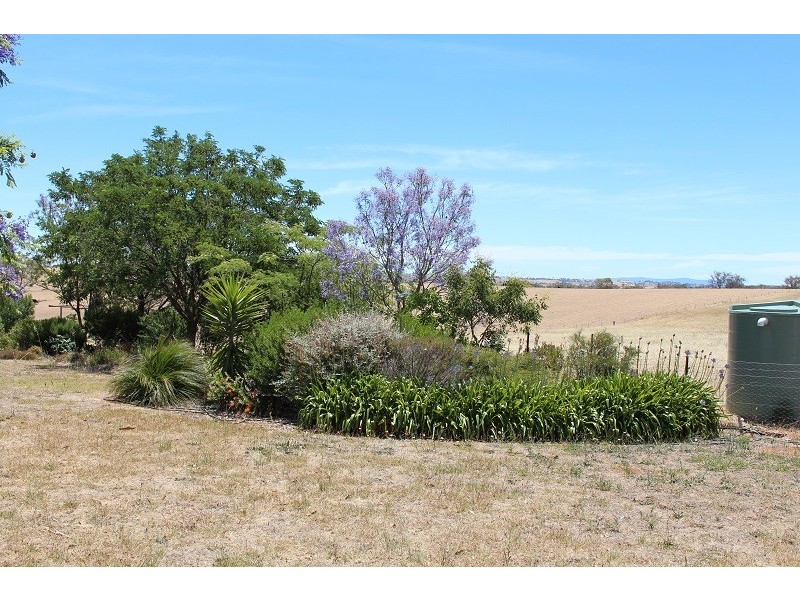438 Wickham Lane, Young NSW 2594