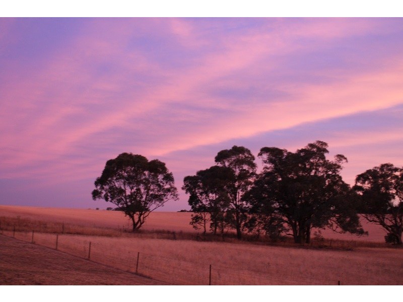 438 Wickham Lane, Young NSW 2594
