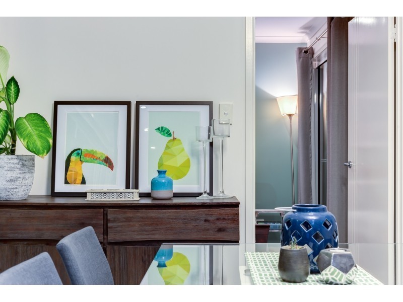 60 Frogmouth Circuit, Mountain Creek QLD 4557