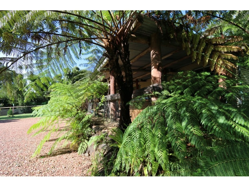 28 Bellview Drive, Ravenshoe QLD 4888