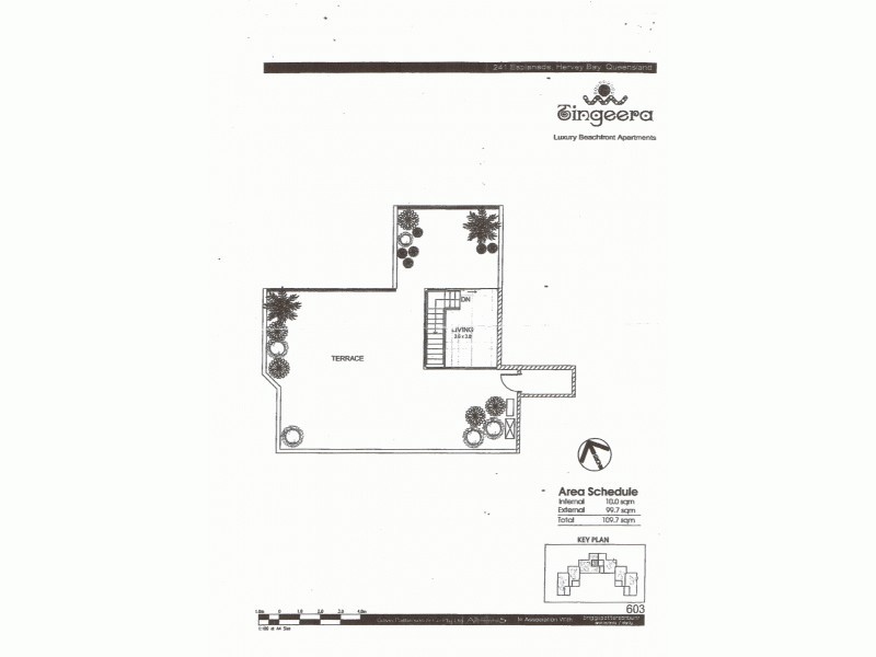 603/239-241 Esplanade, Pialba QLD 4655 Floorplan