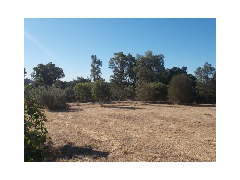 80 Gallipoli Street, Temora NSW 2666