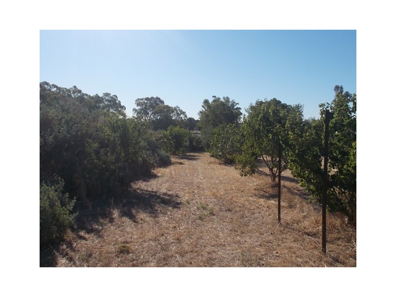 80 Gallipoli Street, Temora NSW 2666