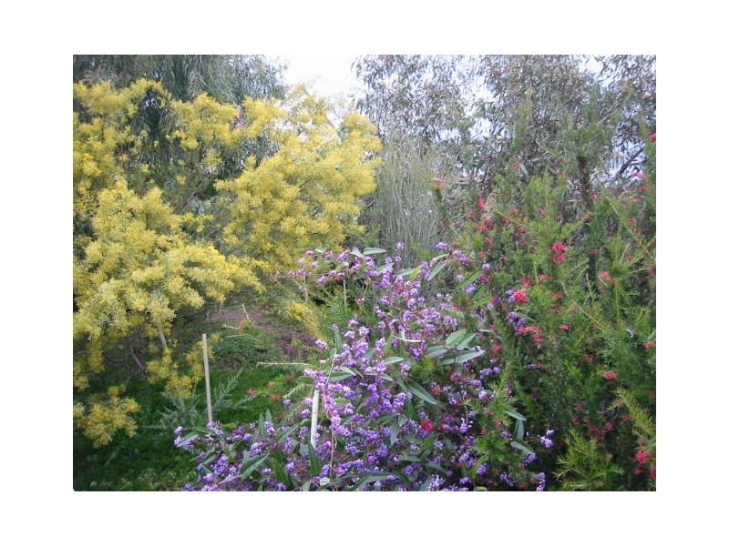 80 Gallipoli Street, Temora NSW 2666