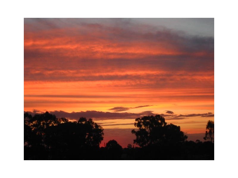 80 Gallipoli Street, Temora NSW 2666