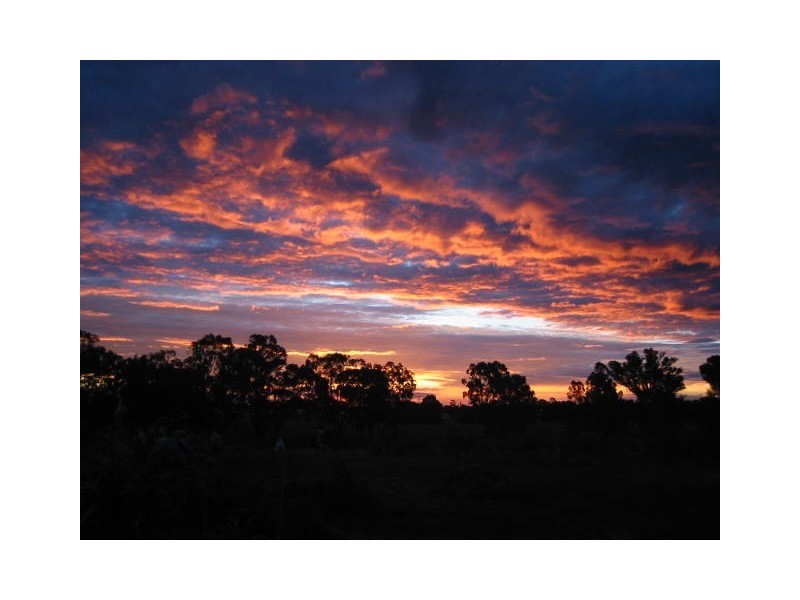 80 Gallipoli Street, Temora NSW 2666