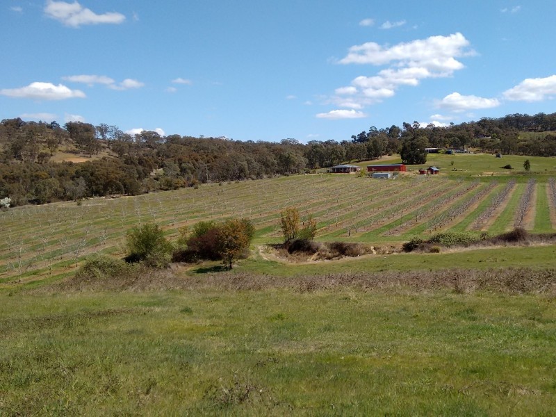 140 Gaaschs Road, Harcourt VIC 3453