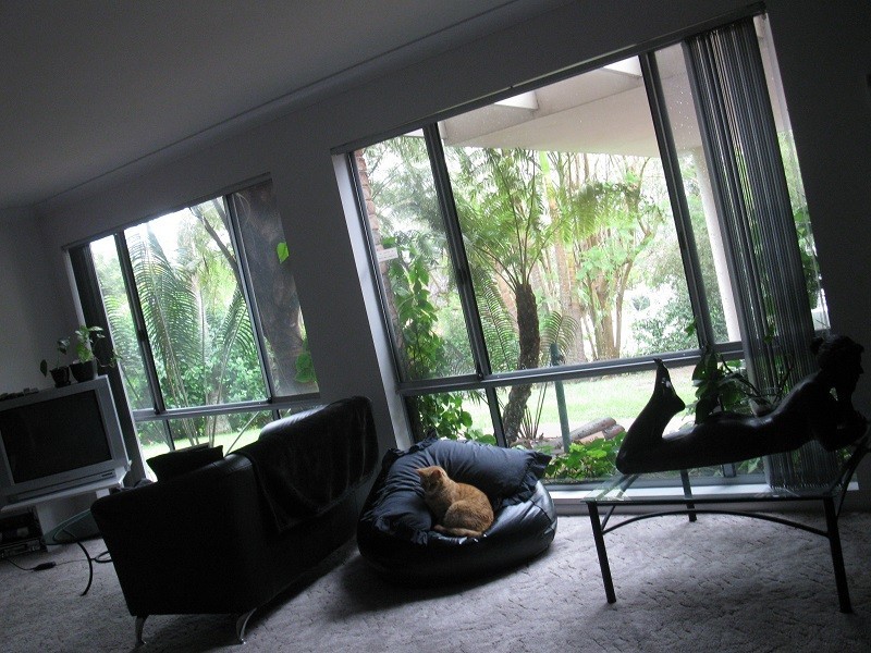 19 Anniversary Place, Coffs Harbour NSW 2450