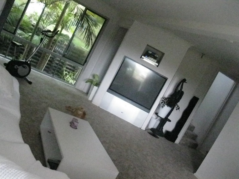 19 Anniversary Place, Coffs Harbour NSW 2450