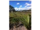 Logan Reserve QLD 4133