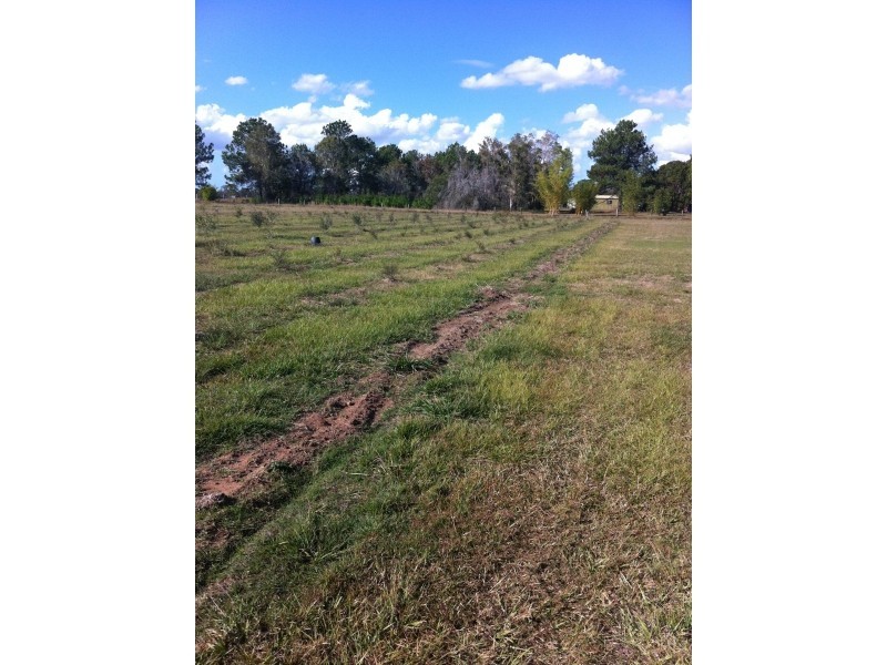 Logan Reserve QLD 4133