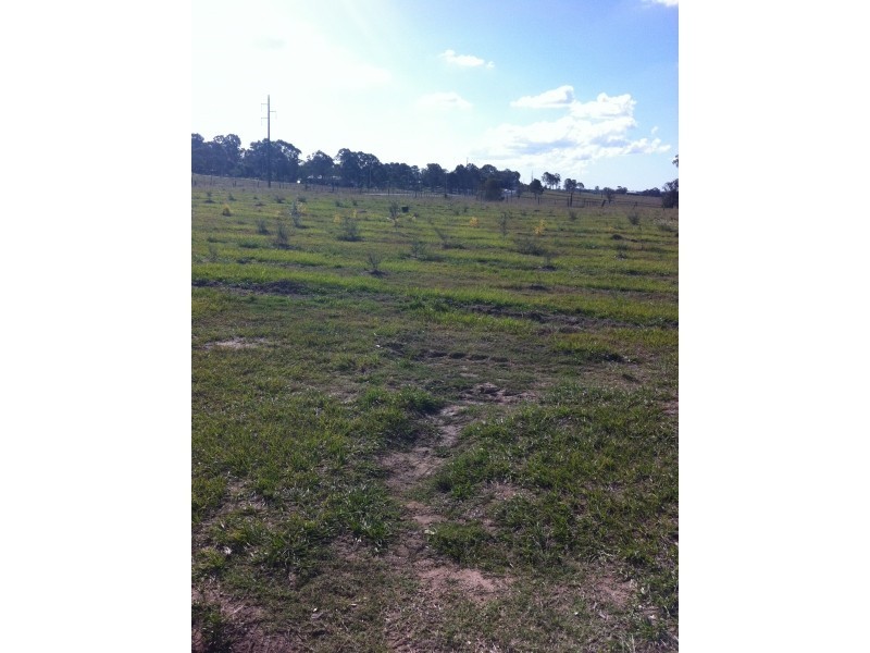Logan Reserve QLD 4133