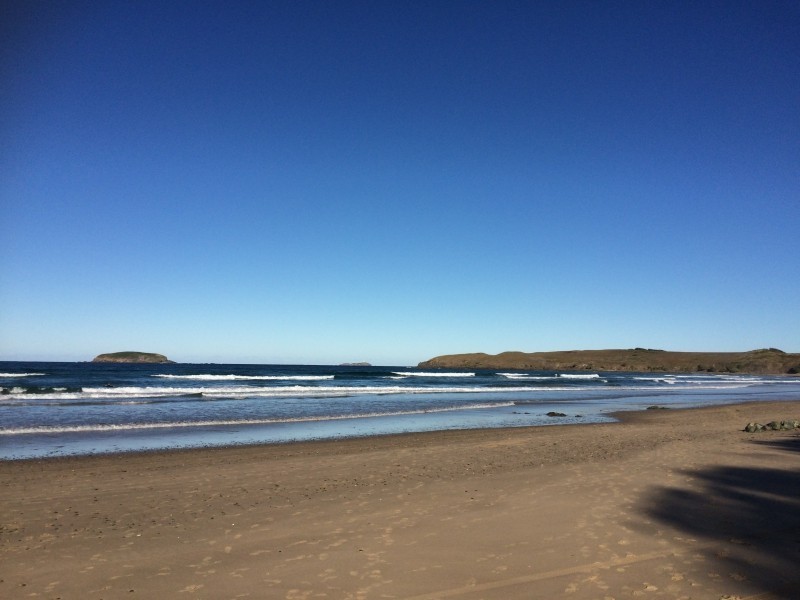 87 Diamond Head Drive, Sandy Beach NSW 2456