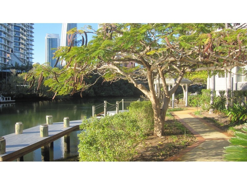 1 Paradise Island, Surfers Paradise QLD 4217