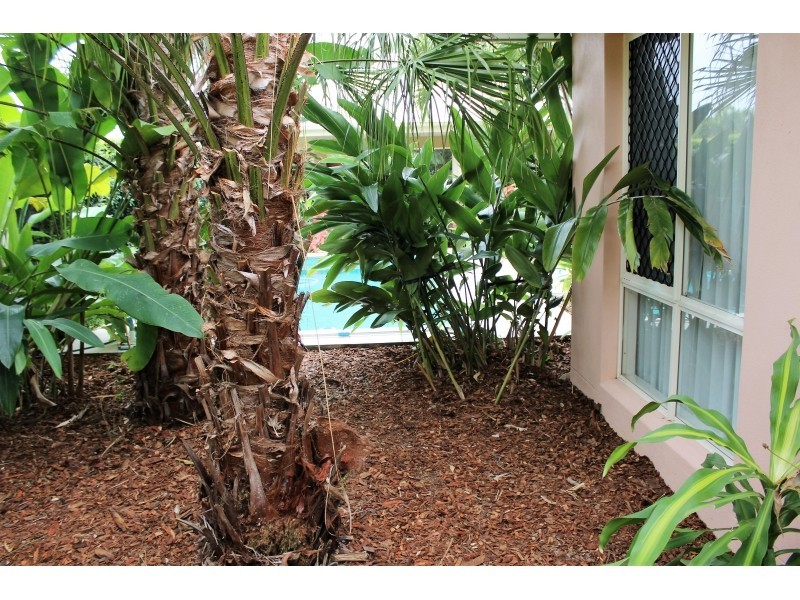 12 Sentry Court, Jubilee Pocket QLD 4802