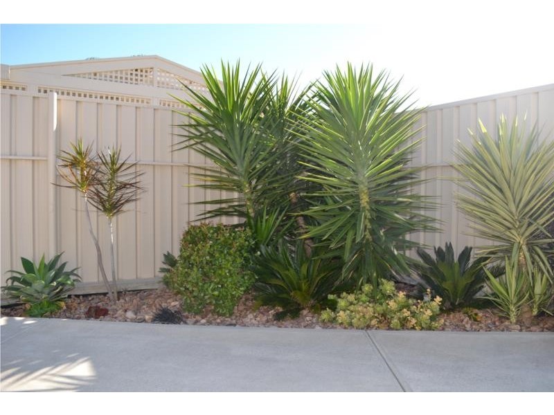 49a Dampier Avenue, Flinders Park SA 5025