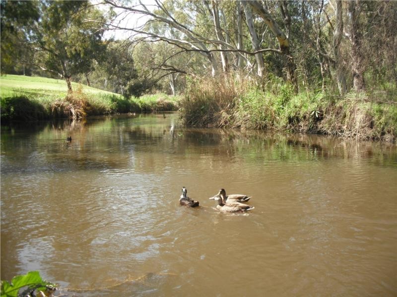 49a Dampier Avenue, Flinders Park SA 5025