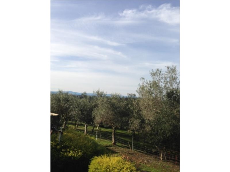 5 Quentin Court, Drouin VIC 3818