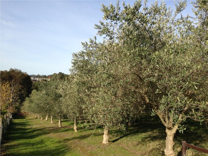 5 Quentin Court, Drouin VIC 3818