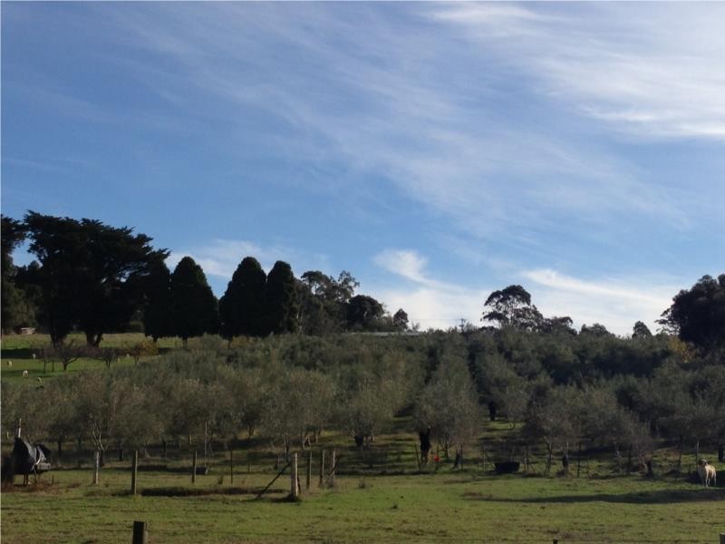 5 Quentin Court, Drouin VIC 3818