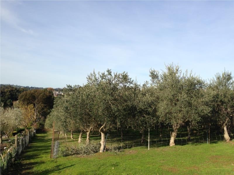 5 Quentin Court, Drouin VIC 3818