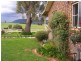 272 Tongues Lane, Loomberah NSW 2340