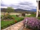 272 Tongues Lane, Loomberah NSW 2340