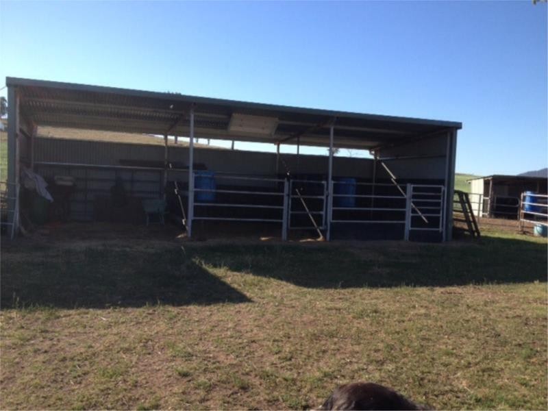 272 Tongues Lane, Loomberah NSW 2340