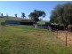 272 Tongues Lane, Loomberah NSW 2340