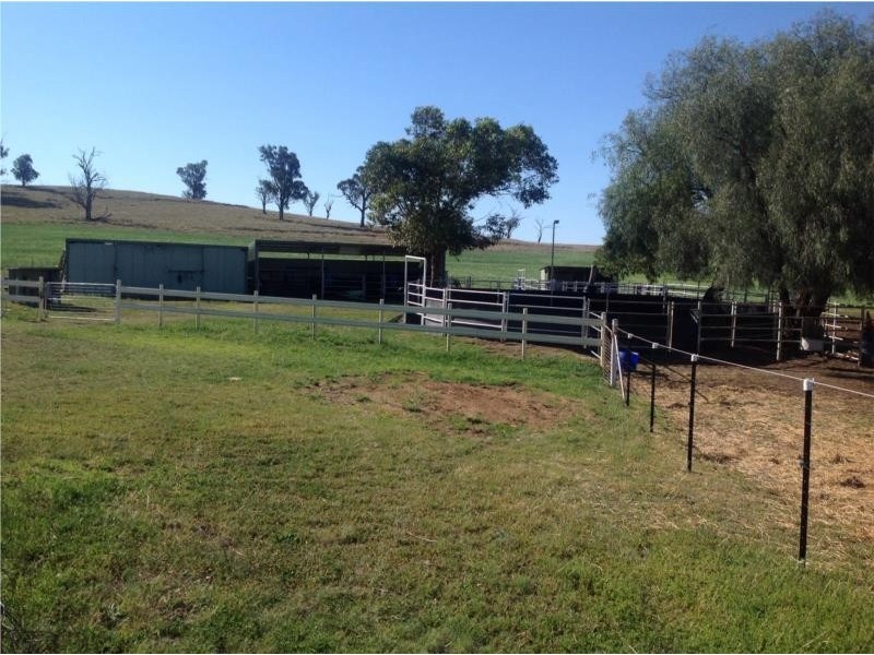 272 Tongues Lane, Loomberah NSW 2340