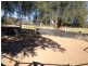 272 Tongues Lane, Loomberah NSW 2340