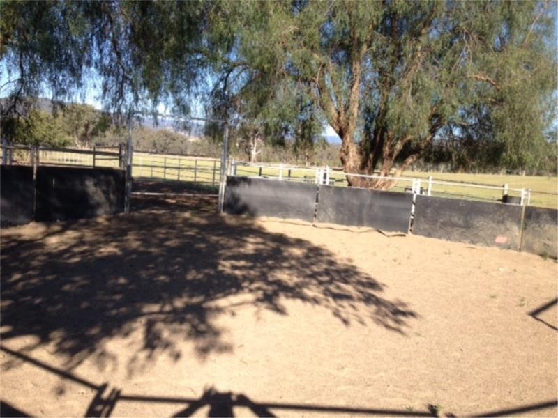 272 Tongues Lane, Loomberah NSW 2340
