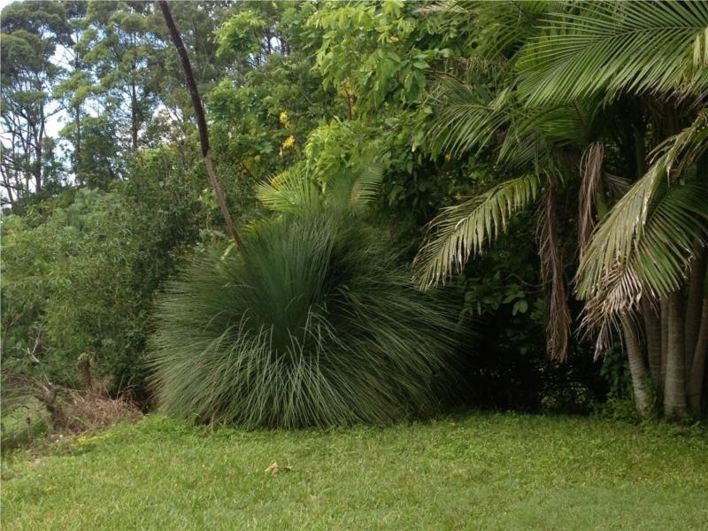 181 Cabbage Gum Road, Pottsville NSW 2489