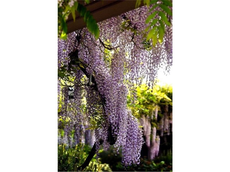 7 Gallagher Street, Cessnock NSW 2325