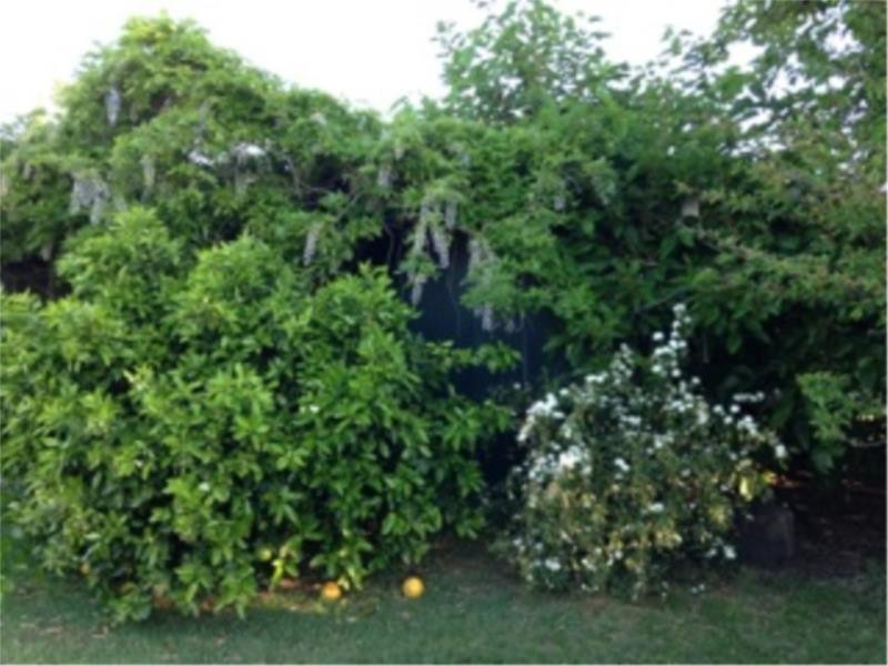 7 Gallagher Street, Cessnock NSW 2325