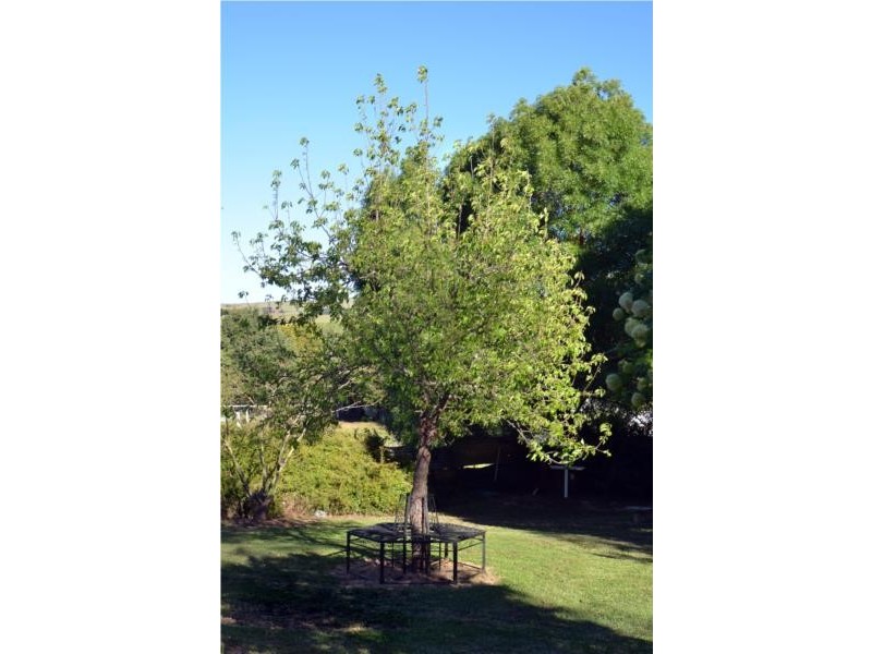 81 Orchard Street, Taralga NSW 2580