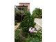 32  Garden Groove Parade, Adamstown Heights NSW 2289
