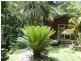 17 Kuranda Crescent, Kuranda QLD 4881