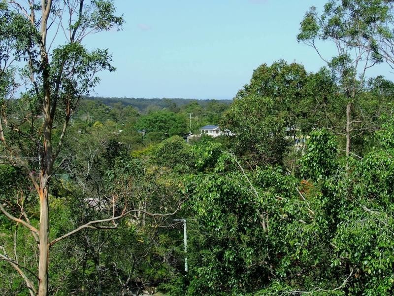 168 PLUCKS ROAD, Arana Hills QLD 4054