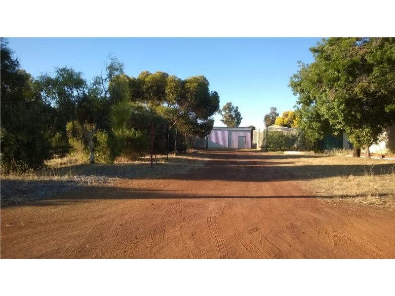 19 (Lot 1) Piesse Street, Williams WA 6391