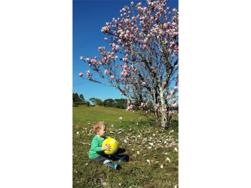 14 Baileys Road, Cooperabung NSW 2441