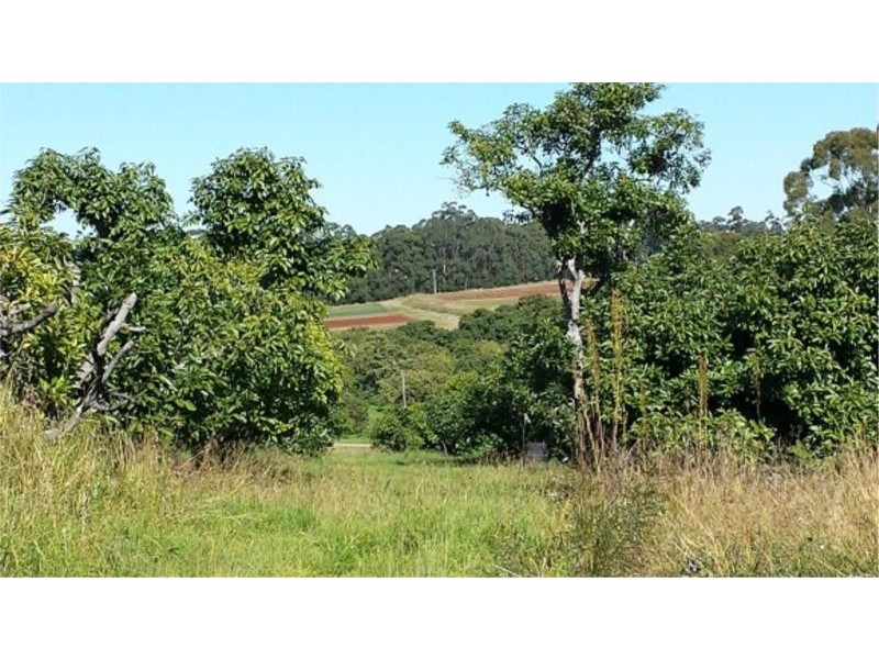 14 Baileys Road, Cooperabung NSW 2441