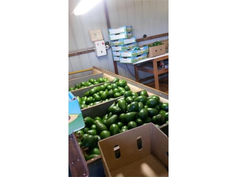 14 Baileys Road, Cooperabung NSW 2441