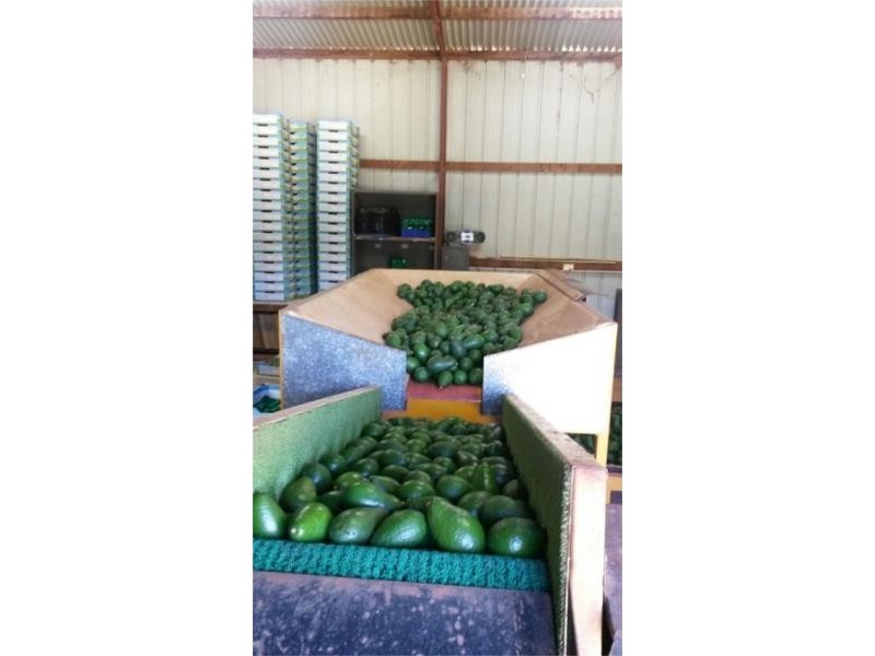 14 Baileys Road, Cooperabung NSW 2441