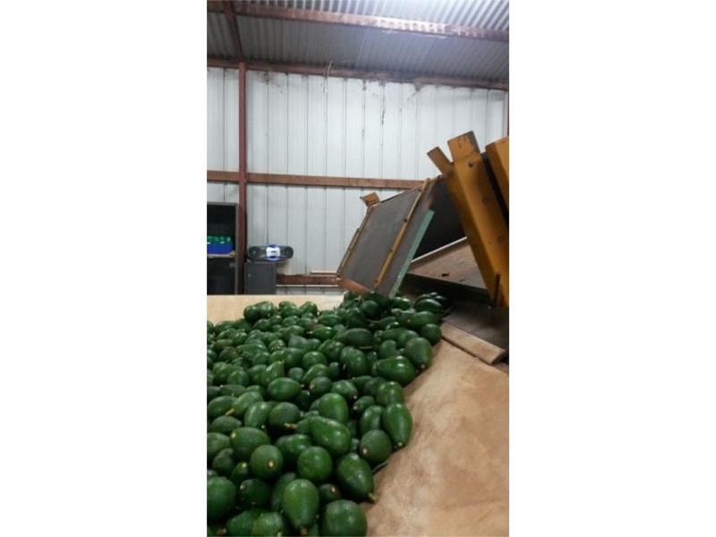 14 Baileys Road, Cooperabung NSW 2441