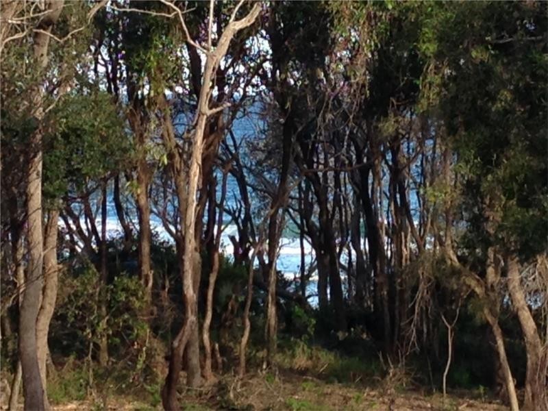 10 Third Avenue, Arrawarra Headland NSW 2456