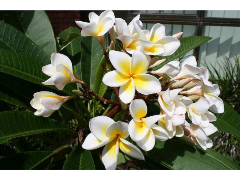 10 Third Avenue, Arrawarra Headland NSW 2456